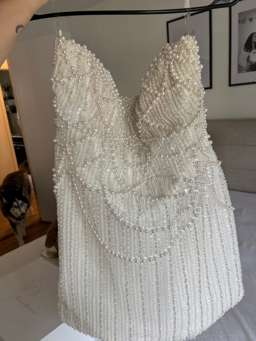 Rosie Etienne Lustre Beaded Mini Dress - Picture 4 of 9